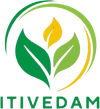 ITIVEDAM